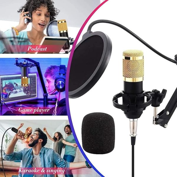 Podcast Mic Set With Live Sound Card,condenser Microphone With Rechargeable 12 Kinds Of Auxiliary Background For Karaoke Singing, Youtube Recording - Techtopia